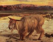 The Scapegoat - 威廉·霍尔曼·亨特